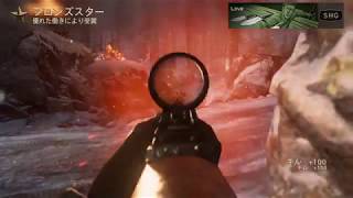 COD WW2　BOT撃ち2　MP-40