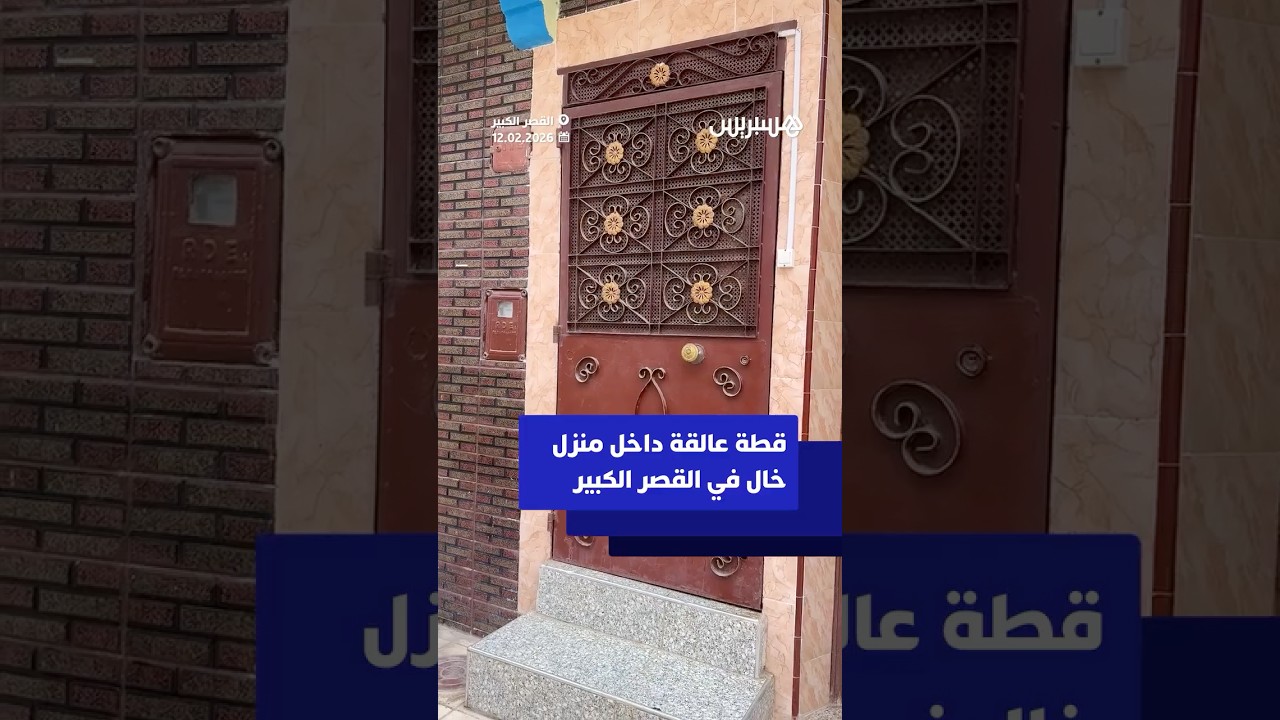 قطة عالقة داخل منزل خال في القصر الكبير thumbnail