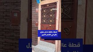 قطة عالقة داخل منزل خال في القصر الكبير thumbnail