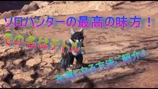 (MHW)モンハンワールド　テトルーさんの友達にする方法のご紹介！ソロハンターの強い味方