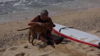 Bill Martin on Soul Sufers Live