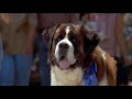 Beethoven 2nd 1993 Beethoven Finds Missy