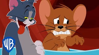 Tom & Jerry  Bellyache  WB Kids