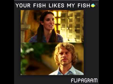 Ncis losangeles densi quotes