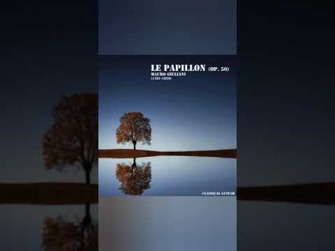 Mauro Giuliani Opera 50 Etude 13