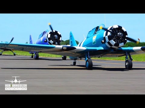Aviões North American T-6 Texan e Extra 330LX Acrobatics | Amazing Air Show Video