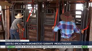 Miniatura do vídeo