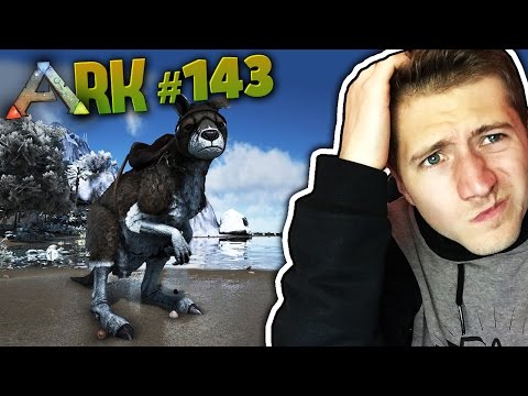 THE SEARCH FOR THE KANGAROO! | ARK #143 | Dizzi