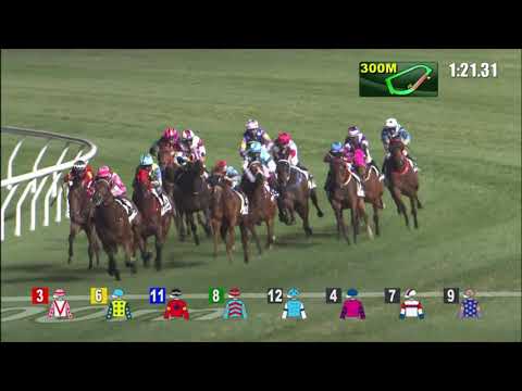 8/12/2021 (235) Fearless Fire - B Shinn