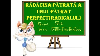 Radacina Patrata a unui numar patrat perfect (Radicalulu unui numar)