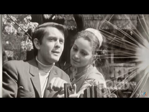 Poesis: Maria Rotaru - Pasărea lui Brâncuşi / L’oiseaux de Brâncuşi de Andre Castagne