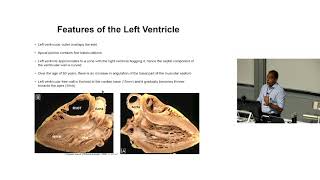 Anatomy of the Left Ventricle – Dr Sean Lal