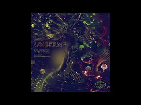 Yoshua E.m_-_Blooming Echoes