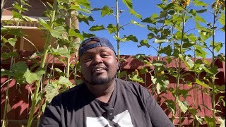 Kama Uko Na Passport Na Degree Hutumii Saa Hii
