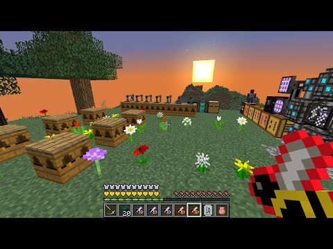 Primus Direwolf20 SMP 29 - Bee-ginnings - Modded 1.7.10 Minecraft