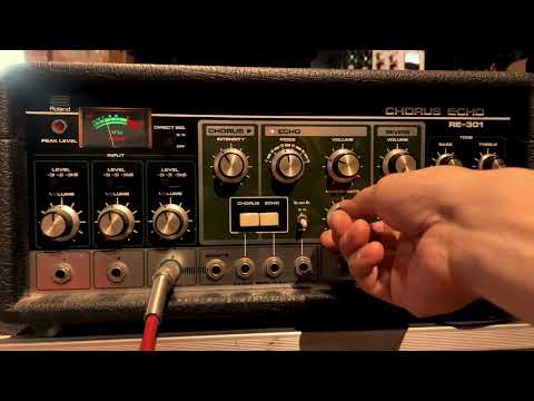 Roland RE-301 Chorus Echo 1970s - Black image 10