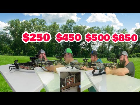 Crossbow Comparison: $250 vs $450 vs $500 vs $850