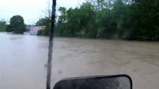 HANK III &amp; His SON Survivin