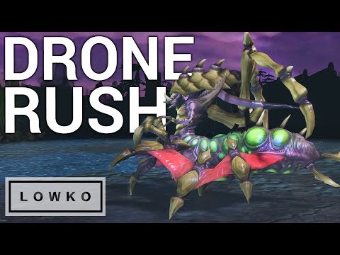 StarCraft 2: THE DRONE RUSH!