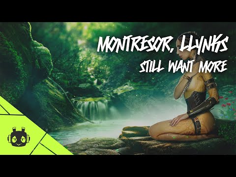 Montresor - Still Want More (Ft. Llynks) [ Industrial Parasite Release ]