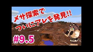 【マインクラフト】たまにはサバイバルでも遊んでみるよ　part9