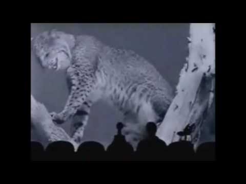 The Best MST3K Shorts (OVER TWO HOURS!!!)