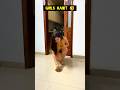 Ham Ladko Pe Nahi Ho Payegi Mehenat Shorts Relatable Comedy