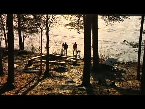 Vapentester hotar turistföretag i Norrbotten - Nyheterna (TV4)