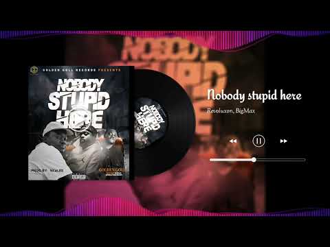 Golden Goll-Nobody stupid here(Audio) (Revoluxon, BigMax)