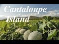 Improv on Cantaloupe Island - how to sound like Herbie