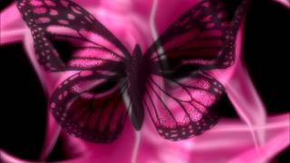 Chaka Khan~ "  Papillon " (AKA Hot Butterfly) ❤️♫1980