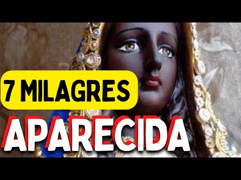 Os 7 Milagres de Nossa Senhora Aparecida. A Fascinante História de Fé de um povo