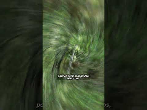 ¡Descubren una Ciudad Perdida en la Amazonía! 🌳