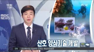 2016년 05월 16일 방송 전체 영상