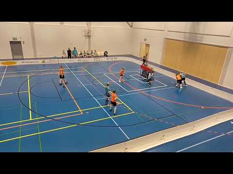 LASB P11 - Pelicans P11 Musta