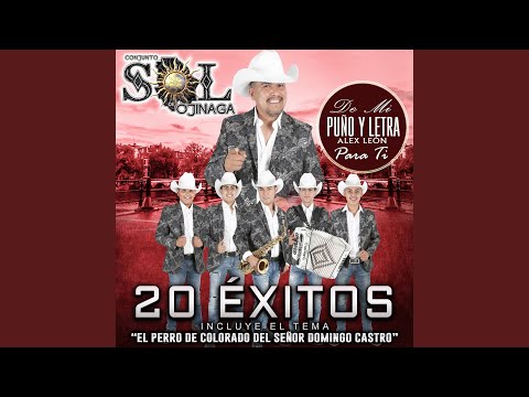 download lagu mp3 mp4 Perro Colorado, download lagu Perro Colorado gratis, unduh video klip Perro Colorado
