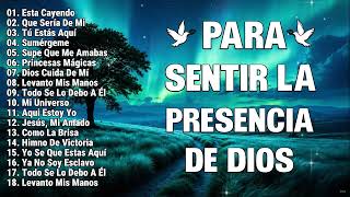 CREO EN TI - HERMOSO NOMBRE - A TI ME RINDO🌟Hillsong Español Sus Mejores Canciones🙏Grandes Éxitos