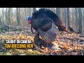 Amazing Trail Camera Video Of Tom Turkey Breeding Hen Caught On Camera Turkey Hunting