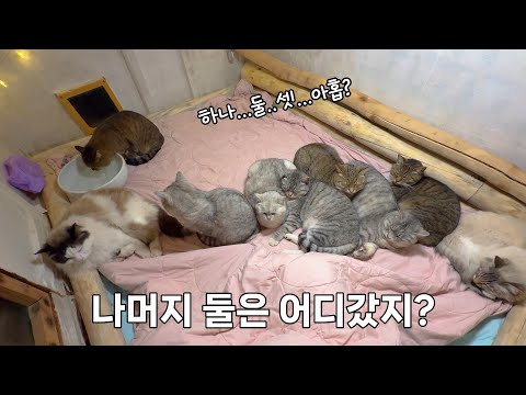 혹독한 산골의 겨울, 한번 들어가면 못 나오는 온돌방