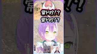 ドドド珍がツボにハマったトワ様【常闇トワ/猫又おかゆ/鷹嶺ルイ/ホロライブ切り抜き/ホロ7DTDハード】