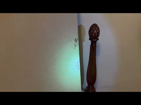 Mattress Crevices Full of Bed Bugs in Skillman, NJ