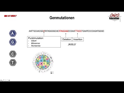 Genetische Grundlagen - Mutationen 2