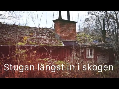 STUGAN längst in i SKOGEN där vägen tar slut och JÄRNVÄGEN tar vid - 211125 - BLEKINGE