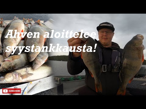AHVENEN SYYSTANKKAUS ALKAA | KALA KOVALLA PURULLA JIGIIN! K1/J39