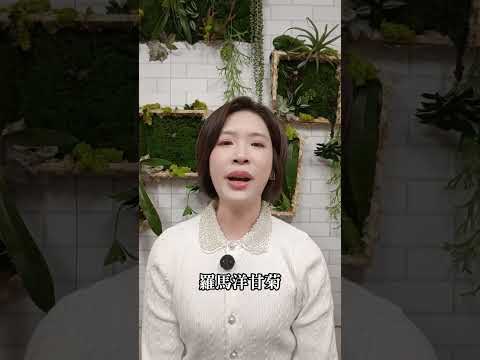 助眠精油推薦｜改善失眠與淺眠的3種芳療精油，讓妳自然放鬆入睡