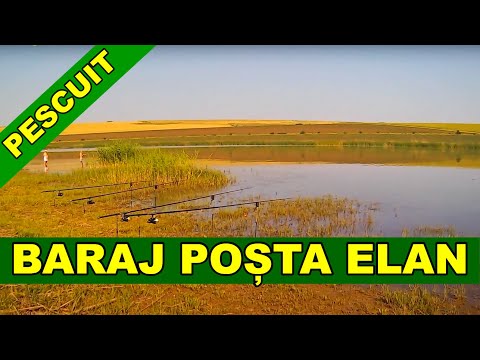Pescuit la crap baraj Posta Elan Vaslui