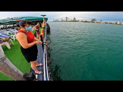 Restaurante de pesca de lula