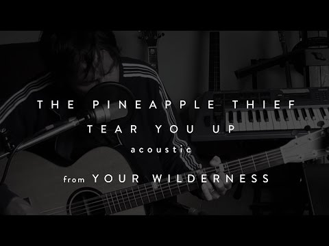 The Pineapple Thief - Tear You Up (acoustic) (from Your Wilderness)