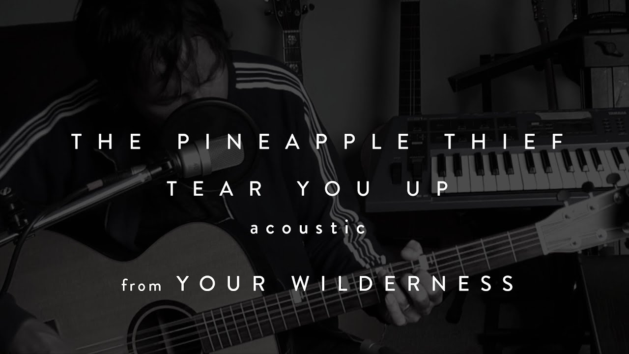 The Pineapple Thief - Tear You Up (acoustic) (from Your Wilderness) - YouTube