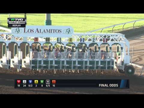 2014 Starlet Stakes [G1]